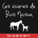 Vente Chevaux Yonne, ABN, cheval, Franches-Montagnes, poulain, Véron, Sens